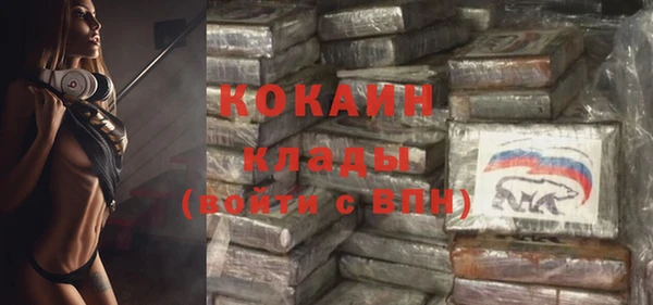 стафф Алзамай
