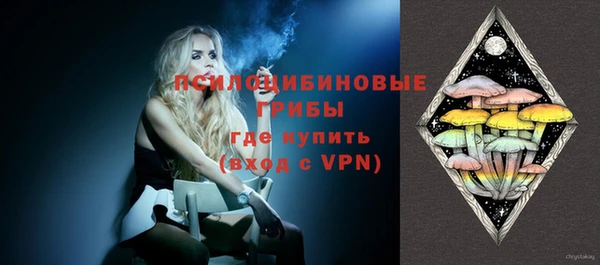 стафф Алзамай
